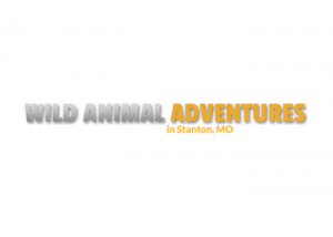 Wild Animal Adventures